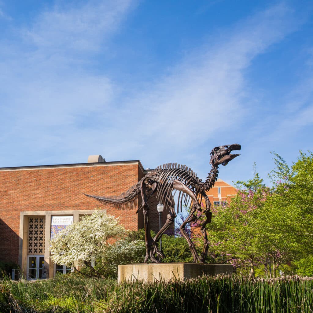 Exterior entrance photo of McClung Museum building