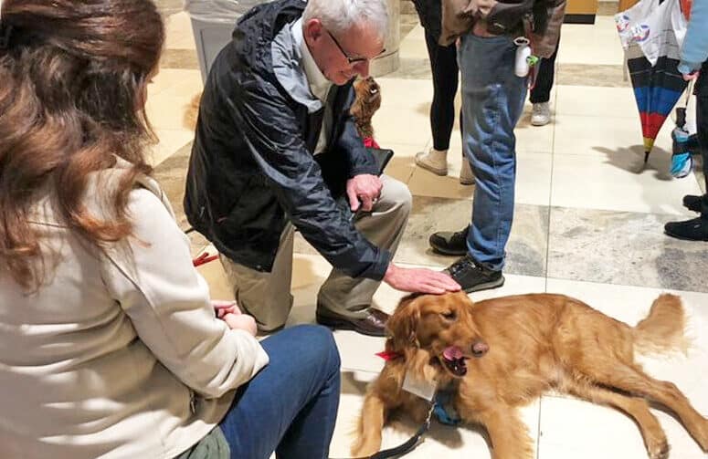 Provost John Zomchick petting therapy dog in the John C. Hodges Library