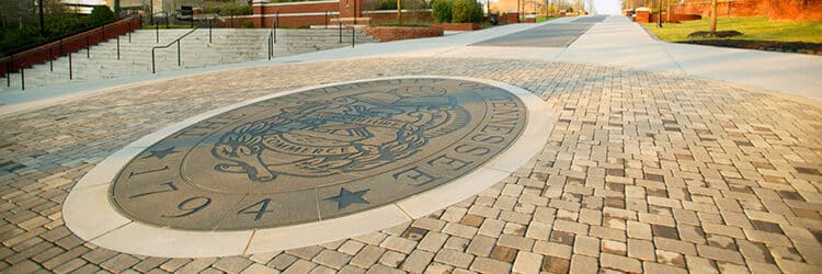 Three Faculty Members Named Chancellor’s Professors